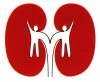 Nefrologo en www.datoavisos.com.mx. Aviso Gratis enviado por Paul Garcia Cobian el 5/7/2010