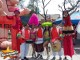 carnaval y desfiles: show de batucada, zanqueros, bailarinas,comparsas