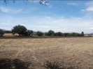 Terrenos en venta campiranos