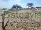Ranchito en venta la higuera