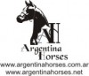 argentina horses caballos