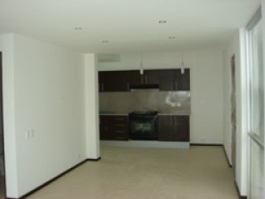 jennifer aquino Avisos gratis en Mexico lindo en Miguel Hidalgo |  VENDO DEPARTAMENTO NUEVO EN LA MIGUEL HIDALGO, ROOF GARDEN PRIVADO EN LA COL ESCANDON