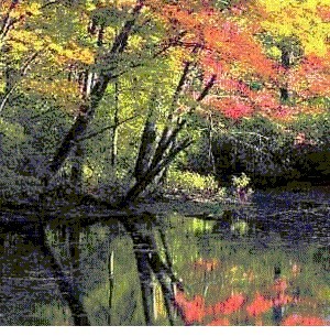  Avisos gratis en Mexico lindo en Ciudad de Mexico |  El mejor terapeuta del mundo, otorg Titulo, curso gratis xmail mundial, recibete y ejerce la profesion de mayor demanda mundial