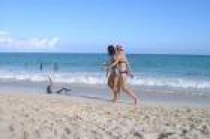  Avisos gratis en Mexico lindo en La Yesca |  Empresa Americana busca trabajadores, Empresa Internacional busca Directores Comerciales