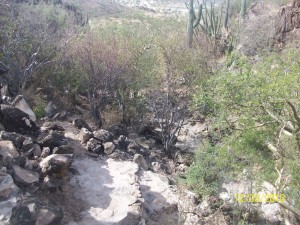 MIGUEL ANGEL ARAIZA Avisos gratis en Mexico lindo en Hermosillo |  MIGUEL ANGEL ARAIZA, buenrostro