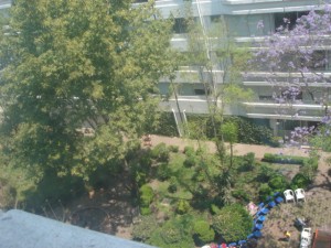  Avisos gratis en Mexico lindo en Benito Ju&aacute;rez |  Ubicadisimo departamento 119 m  Del Valle con espacioso jardin comun, Inmejorable localizacion en la delegacion Benito Juarez