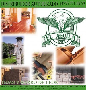javier Avisos gratis en Mexico lindo en Le&oacute;n |  TALAVERA  y   TEJAS  Y  MAS, tejas