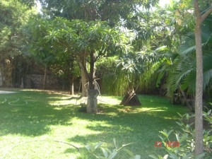 Avisos gratis en Mexico lindo en Yautepec |  HACIENDACOCOYOC TERRENO EXCLUSIVO CON MEMBRESIA CLUB DE GOLF, HACIENDACOCOYOC TERRENO EXCLUSIVO CON MEMBRESIA CLUB DE GOLF