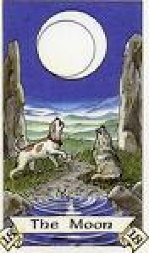  Avisos gratis en Mexico lindo en Miguel Hidalgo |  lectura de cafe turco y tarot, esoterico