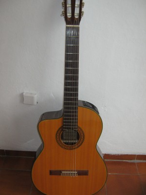 Haidee Meneses Avisos gratis en Mexico lindo en Canc&uacute;n |  GUITARRA RITTER STYLE 1E, PARA SURDO