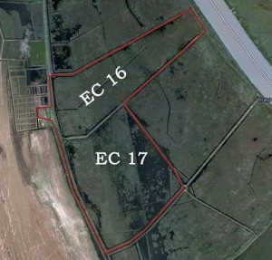  (004)021.362.55.94 Avisos gratis en Mexico lindo en Matamoros |  Danube Delta Investment 736 Ha , danube delta