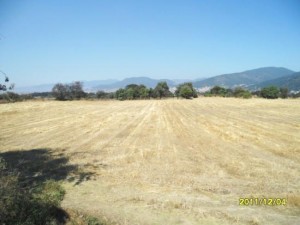 DOLORES AGUILAR Avisos gratis en Mexico lindo en Lerma |  TERRENO CHIRINOS, VENTA DE TERRENO EN CHIRINOS