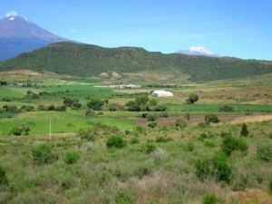 edilberto Avisos gratis en Mexico lindo en Puebla |  BUSCAS UN TERRENO EN ATLIXCO PUEBLA MEXICO, ATLIXCO