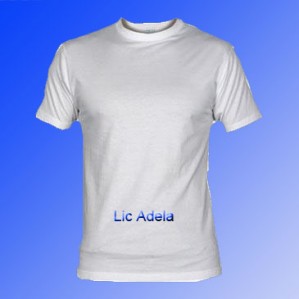 Adela Harari Avisos gratis en Mexico lindo en Miguel Hidalgo |  PLAYERA CAMPA&Ntilde;ERA, EN STOCK