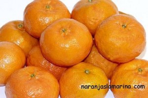  Avisos gratis en Mexico lindo en Amozoc |  Venta de naranjas naturales de la Rectoria. , Naranjas la marina.com le ofrece la posibilidad de obtener las mejores naranjas 