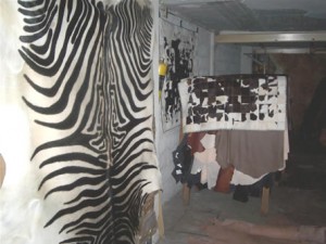  Avisos gratis en Mexico lindo en Ciudad de Mexico |  Tapetes,Alfombras, Cueros,Pieles