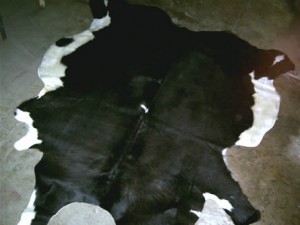  Avisos gratis en Mexico lindo en Iztacalco |  Alfombras, Cuero de Res