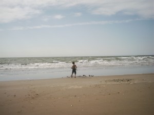  Avisos gratis en Mexico lindo en Culiac&aacute;n |  vendo playa en el tambor mar de cortez, viva de tiempo completo como rey