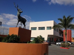 Luis Bustamante Avisos gratis en Mexico lindo en Tijuana |  Bodegas y naves en venta � renta, tijuana, Bodega en venta