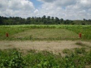  Avisos gratis en Mexico lindo en Puebla |  LOTES RUSTICOS ATLIXCO PUEBLA, EN EL MEJOR CLIMA