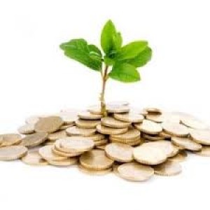 Ramiro Puertolas Avisos gratis en Mexico lindo en Le&oacute;n |  Creacion y venta de sociedades offshore sin desplazarse, Adecuada planificaci&oacute;n fiscal para su empresa