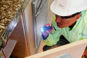 Jorge Martinez Avisos gratis en Mexico lindo en Canc&uacute;n |  Fumigaciones y control de plagas quintana roo mexico, Desinfecci&oacute;n, desinsectaci&oacute;n, desratizaci&oacute;n, fumigaci&oacute;n