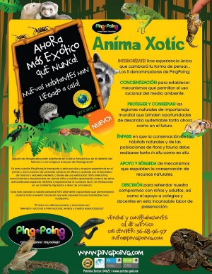 PINGPOING MEXICO Avisos gratis en Mexico lindo en Miguel Hidalgo |  Animadores fiestas infantiles mexico show de animales exoticos, Show de animales fiestas mexico animadores fiestas infantiles