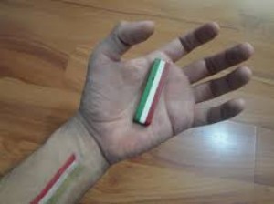 ALP M&Etilde;XICO Avisos gratis en Mexico lindo en Guadalajara |  Art&iacute;culos para fiestas patrias tenemos varios articulos para que escoj, Fiestas patrias 