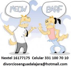 Laura Hern&aacute;nd Avisos gratis en Mexico lindo en Tlaquepaque |  Servicios jur&iacute;dicos en divorcios r&aacute;pidos y econ&oacute;micos, Divorcios econ&oacute;micos en guadalajara