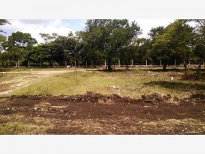 JEREBAI MORALES Avisos gratis en Mexico lindo en Berriozabal |  Terrenos residenciales en el fraccionamiento lantanas 10x20, Lotes
