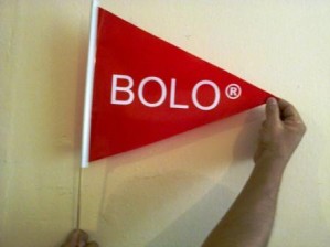 ALP MEXICO Avisos gratis en Mexico lindo en Aguascalientes |  Banderines con publicidad impresa y colores a escoger, Banderines