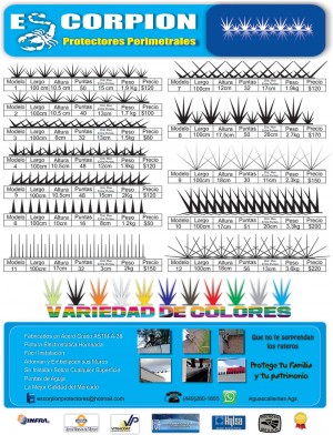 Carlos Meyemberg T Avisos gratis en Mexico lindo en Aguascalientes |  Picos para barda, protectores perimetrales, puntas, p&uacute;as, seguridad pe, Picos para barda, wall security spikes