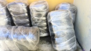 Betty Avisos gratis en Mexico lindo en Colima |  Pacas de ropa americana en colima colima, Venta de ropa americana, pacas de ropa, buen precio buena calidad