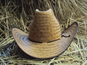 Tu Boda Chik Avisos gratis en Mexico lindo en Monterrey |  Sombreros para fiestas, para recuerdo o regalo, Sombreros para fiestas