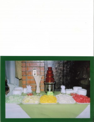  Avisos gratis en Mexico lindo en Monterrey |  renta de fuente de chocolate y chamoy, fuente de chocolate