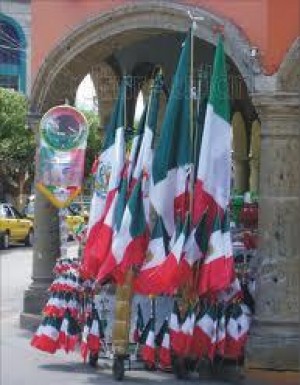ALP MEXICO Avisos gratis en Mexico lindo en Monterrey |  Banderas para fiestas patrias varios tama&Ntilde;os a escoger, Banderas