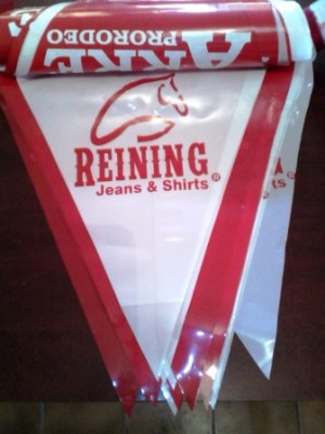 ALP MEXICO Avisos gratis en Mexico lindo en Canc&uacute;n |  Banderines para todo tipo de fiestas y eventos, Banderines