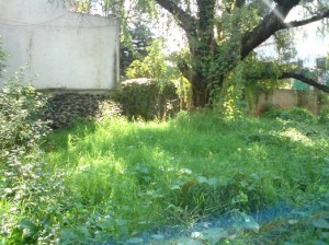  Avisos gratis en Mexico lindo en Tlalpan |  EN VIADUCTO TLALPAN, ATENCION DESARROLLDORES EXCELENTE TERRENO