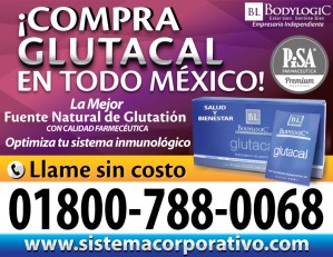 bodylogic Avisos gratis en Mexico lindo en Guadalajara |  Solucion a la diabetes mexico, guadalajara glutacal, immunocal cistein, Glutation, glutacal, immunocal, immunotec, cisteina leon