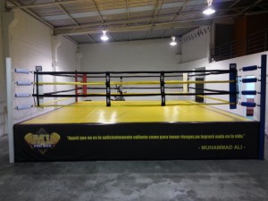 BOX CORNER Avisos gratis en Mexico lindo en Monterrey |  Ring de box profesional  varias medidas, Boxeo everlast cleto reyes guantes costal pera