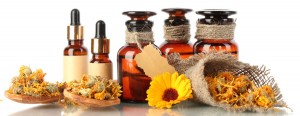 Guillermo Kalev Vill Avisos gratis en Mexico lindo en Guadalupe |  Buscamos productos para distribuir naturistas herbolaria recetas, Naturistas herbolaria energia obesidad  caida cabello