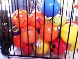 ALP MEXICO Avisos gratis en Mexico lindo en Guadalajara |  Pelotas de pl&aacute;stico con logo de su marca, Pelotas