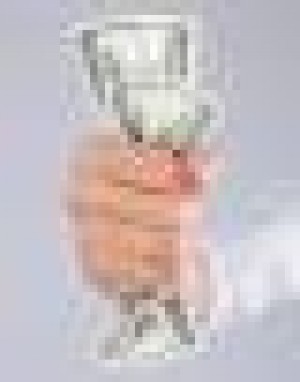  Avisos gratis en Mexico lindo en Hermosillo |  &iquest; Crisis? Oportunidad de Negocio, Aprovecha 