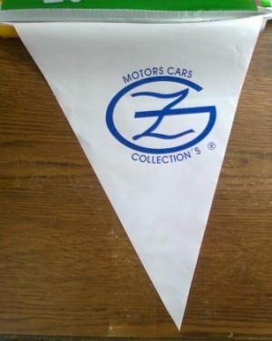 ALPMEXICO Avisos gratis en Mexico lindo en Monterrey |  Banderines de pl&aacute;stico con logos a la venta , Banderines de pl&aacute;stico con logos