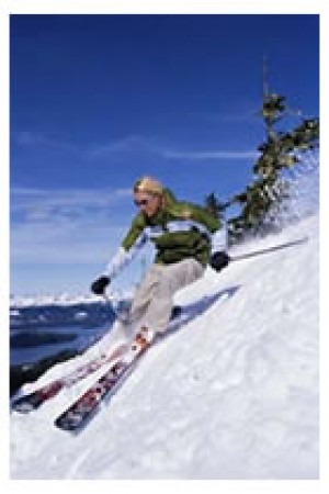  Avisos gratis en Mexico lindo en Jilotzingo |  DINERO DESDE CASA NEGOCIO VIA INTERNET, NEGOCIA Y VIAJA