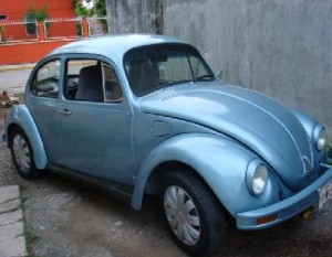  Avisos gratis en Mexico lindo en Poza Rica de Hidalgo |  vw beetle 81, VENTA