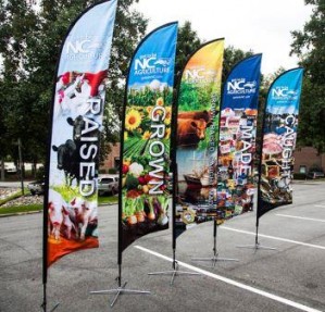 ALPMEXICO Avisos gratis en Mexico lindo en Sinaloa |  Banderas banner con logos impresos a la venta , Banderas banner con logos impresos