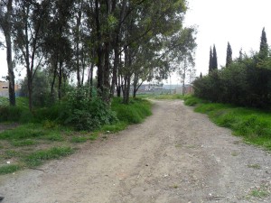 Diana Ch&aacute;vez Avisos gratis en Mexico lindo en Atizap&aacute;n de Zaragoza |  Terreno en privada a 5 min galer&iacute;as atizap&aacute;n, A 5 min galer&iacute;as atizap&aacute;n
