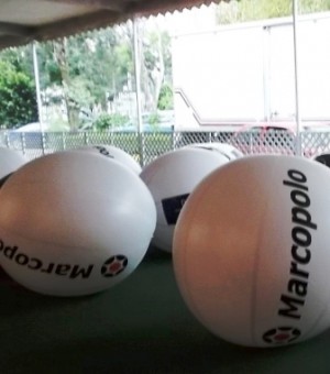 ALP MEXICO Avisos gratis en Mexico lindo en Aguascalientes |  Pelotas gigantes publicitarias lisas o con logo impreso, Pelotas gigantes