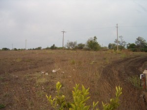  Avisos gratis en Mexico lindo en Cardonal |  REMATO TERRENO CERCA DE LAS GRUTAS DE TOLANTONGO, HAGA NEGOCIO, ZONA TURISTICA EN EXPANCION